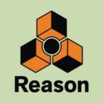 Reason-Crack