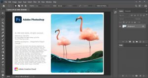 Adobe Photoshop CC 24.3.1 Free Download